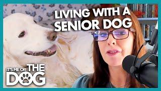 The Challenges Of Living with A Senior Dog | Positively Dog Training Podcast