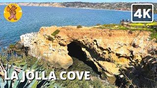 La Jolla Cove Walking Tour, San Diego California, USA | {4k}  Binaural Sound