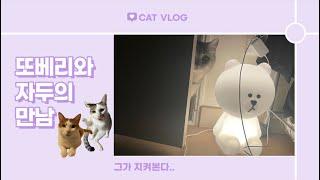 [고양이 vlog] 또리베리의 외출 | 설맞이 집사네 고향집 가기 | 또베리와 자두의 만남 | 또베리만을 위한 첫 영상