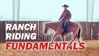 Ranch Riding: Tips for downward transitions