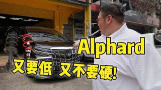 [WHELAN]又要低又要舒服｜Alphard真的不改不好看！