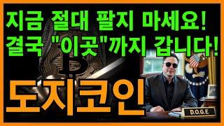 도지코인 전망결국 "이곳"까진 가는데 지금 1개라도 팔면 손해입니다!!