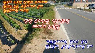 원주시 소초면 장양리 왕복2차선대로변 창고용지 공장용지 토지매매입니다.