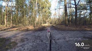 Husky Dogscooter: De Buunderkamp - Veluwe (2020/04/04)