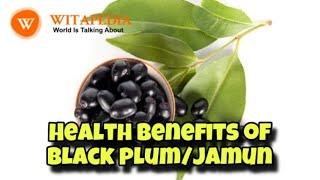 Health benefits of black plum/jamun - @Witapedia