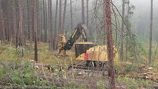 Tigercat Feller Buncher with tilt system (CB307)