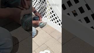 DIY Vinyl Lattice Skirting