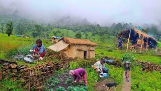 This is Himalayan village life in Nepal ||daily Activities people in Nepali mountain village lifesty