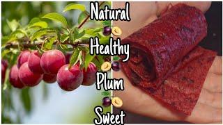 How To Make Plum Fruit Leather/Fruit roll-ups  Natural Healthy Sweets Made From Fruit 