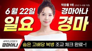 6/22 (일) ️일요경마 혼전!! 복병마 중심 승부️ 서울+부산 모든 경주 분석