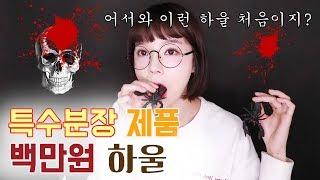 이런 하울 처음이지? 특수분장 재료 100만원 하울 SFX makeup Haul  | PURE.D 퓨어디