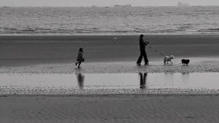 Dadaepo Beach, where the sunset and ecological environment are alive.Busan South Korea.20.04.01