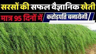 Sarson ki kheti | Full A2Z Video |sarson ki kheti kaise karen | Mustard farming | सरसों की खेती