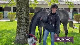 Trainingszentrale_Galopprennbahn Iffezheim