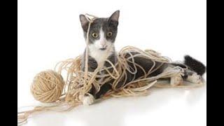 How To Unravel Wool!