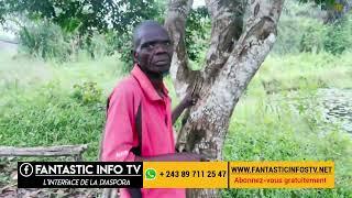 Village Tenda route ndjili brasserie concession a vendre avec les étangs , arbres fruitiers