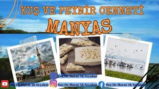 Kuş ve Peynir Cenneti Manyas #balıkesir #manyas Manyasta gezilecek yerler  Manyas gezi rehberi