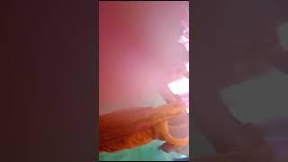 Vishnu Chaudhary Chaudhary Chaudhary (1)