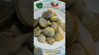 Sea Shells on Vinegar