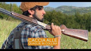 Giorni di caccia: quaglie in collina