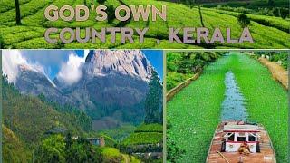 Must visit places in keral | Wandering earl |  The global travel hub |