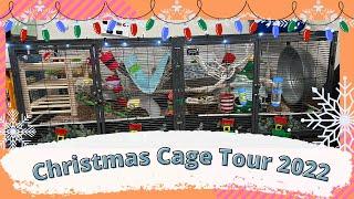 Christmas Pet Rat Cage Tour 2022