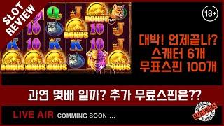 슬롯 slot  프로그마틱  Buffalo King  / 6스캐터 / 100 FREE SPIN /  Pragmatic Play / 실시간 슬롯 방송