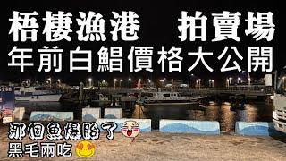 大家都說便宜的魚貨拍賣場，漁獲充滿誘惑，害我買到不想回家  #黑毛料理 #那個魚. #梧棲漁港拍賣場