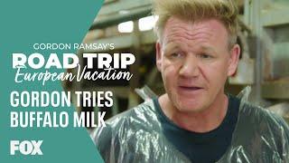 Buffalo Milk Vs Cow Milk | GORDON RAMSAY'S ROAD TRIP: EUROPEAN VACATION