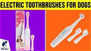 5 Best Electric Toothbrushes For Dogs 2019