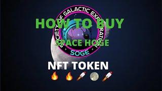 How To Buy Space Hoge (NFT TOKEN)