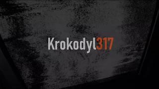 Krokodyl317