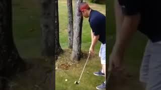 tree revenge
