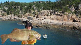 Magnetic Island Amazing Coral Trout TOWNSVILLE Fishing !