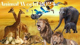 Best animal sounds, beautiful animal videos - Animal world 2024