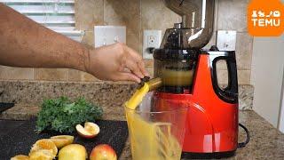 Reviewing Temu's Most Popular Juicer!