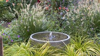  Garden Tour - Patio - Natural Planting 