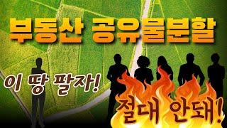 부동산 공유관계 해소 방법 - 공유물분할소송  | ﻿법무법인 효현 김재권 변호사 | 공유지분, 현물분할, 경매분할