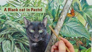 Pet Portrait - Painting a black Cat in Pastel. Complex foliage background. Painting fur and plants.