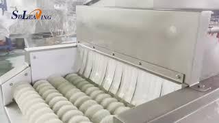 Fruit washing machine brush washing machine