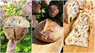 Basic Sourdough Bread for Everyone: A Simple Recipe to Share and Enjoy