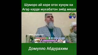 ПАНДУ НАСИХАТ