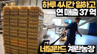 하루 4시간 일하고 37억 매출! 동물복지 계란농장[Working 4 hours a day and generating an annual revenue of $27 million]