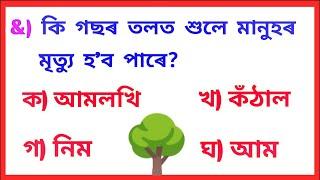 Top 18 Interesting GK in Assamese। Assamese GK । Assam Competitive Exams । Quiz in Assamese ।