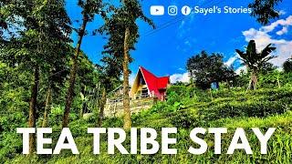 Darjeeling Offbeat | Munda Kotee Tea Garden | Tea Tribe Stay Sonada |