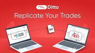  Live Trade Replication Demo | 1Cliq Ditto - Trade. Replicate. Succeed.