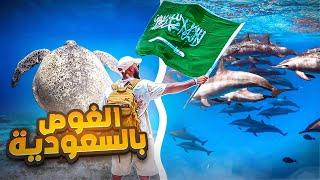  احلى اماكن الغوص بالسعودية | Diving in Saudi Arabia 