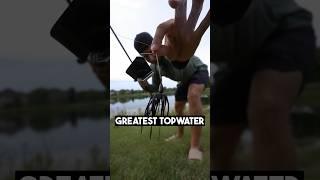 The BEST Topwater Fishing Lure!