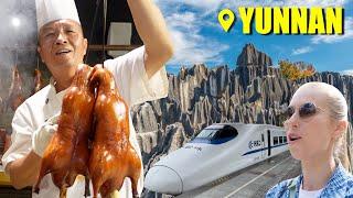 China’s BEST roast duck? Forest of STONE? First class train for $4?? ONLY IN YUNNAN!