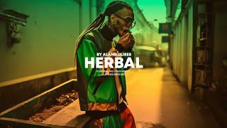 Reggae Trap Type Beat | Protoje Type beat | Reggae Dub Trap Instrumental 2024 | HERBAL RIDDIM